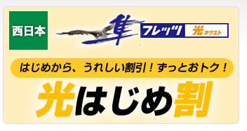 Ntt フレッツ光ネクスト ひかり電話 Ocnプロバイダ申込受付