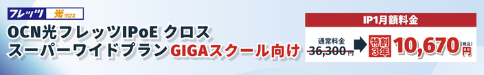 OCN utbcvIPoE X[p[Chv GIGAXN[͂