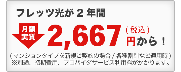 tbc2N z2,667~iōjI(}V^CvVK_̏ꍇ/e튄ȂǓKp)ʓrApAvoC_T[rXp܂B