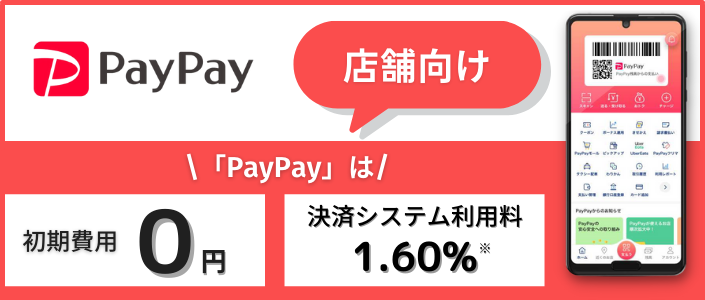 PayPayX܌ pA萔